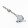 Resistance Thermometer (RTD) with Thermowell