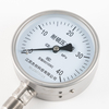 Anti Sulfur Stainless Steel Pressure Gauge