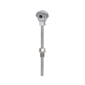 Resistance Thermometer (RTD) with Thermowell