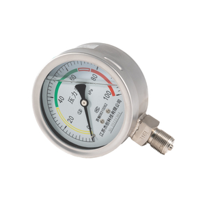 0~100kPa All Stainless Steel Liquid Filled Vibration Resistant Pressure Gauge 