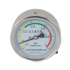 Y Series Pressure Vacuum Gauge 