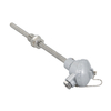 Resistance Thermometer (RTD) with Thermowell