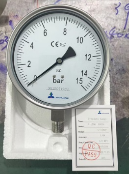 Pressure gauge.jpg