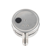 Sulfur Resistant/ Anti Sulfur Stainless Steel Pressure Gauge