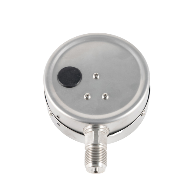 Sulfur Resistant/ Anti Sulfur Stainless Steel Pressure Gauge