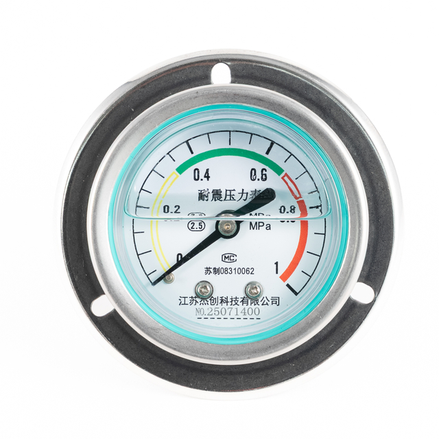 Stainless Steel Shock Resistant Pressure Gauge with Panel Mount
