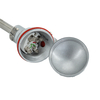 Resistance Thermometer (RTD) with Thermowell