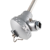 Dual Pt100 RTD Temperature Sensor with Carbon Steel Welded Protection Sleeve