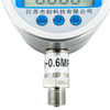 Stainless Steel Precision Digital Pressure Gauge