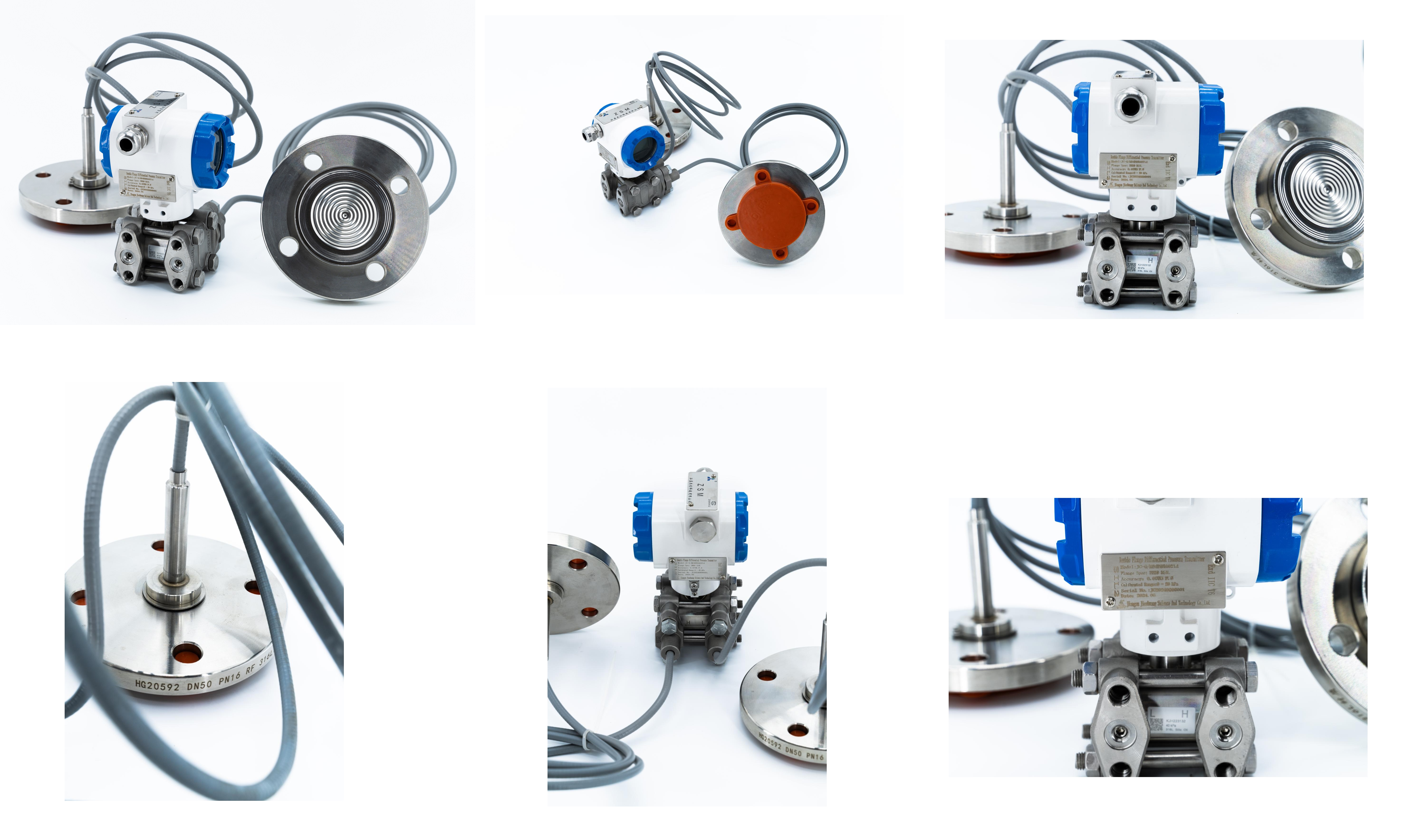Intelligent Dual Flange Differential Pressure Transmitter with Digital Display for harsh industrial environments
