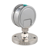 Liquid Filled Diaphragm Pressure Gauge