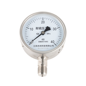 Sulfur Resistant/ Anti Sulfur Stainless Steel Pressure Gauge