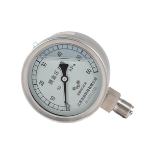 Liquid Filled Stainless Steel Capsule Pressure Gauge for Micro Pressure Measurement