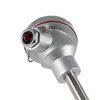Dual Pt100 RTD Temperature Sensor with Carbon Steel Welded Protection Sleeve