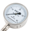 Sulfur Resistant/ Anti Sulfur Stainless Steel Pressure Gauge