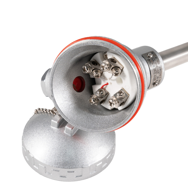Dual Pt100 RTD Temperature Sensor with Carbon Steel Welded Protection Sleeve